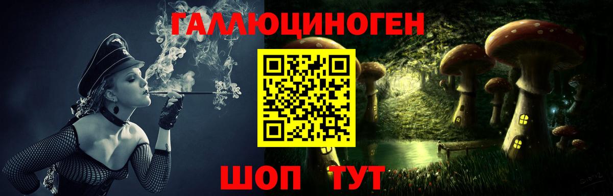 Новочебоксарск  Псилоцибиновые грибы прущие грибы  Вход с VPN 